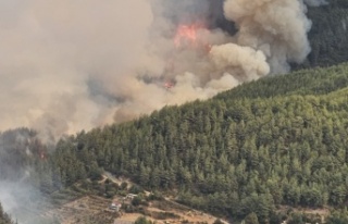 Alanya'da yangın büyüyor! 13 ev tahliye edildi