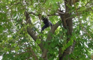 Hava almak için seçtiği yer ekipleri alarma geçirdi
