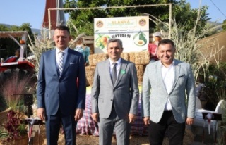 3 gün sürecek 2.Alanya Tropikal Meyve Festivali...