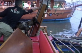 Alanya'da narkotik ekipleri yatlar ve gezi teknelerini...