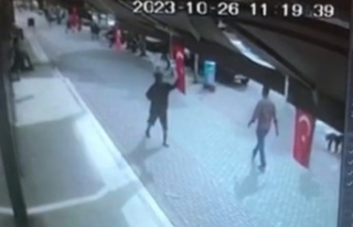 Alanya'da Türk bayrağını koparıp yere atan...