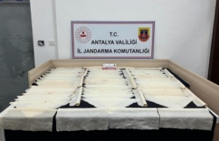 1 milyon kullanımlık bonzai ele geçirildi