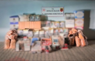 Alanya’da bu kadarına pes! 292 bin makaronla yakalandı