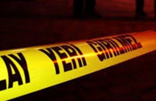 Alanya’da cesedini aşevi çalışanları buldu