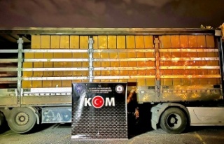 Alanya’da rekor kaçak tütün operasyonu!