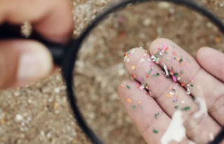 Alanya’da sağlıklı zannedip sakın yemeyin