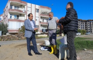 Gazipaşa Belediyesi Ata Tohum Karakılçık buğdayını...