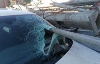 Tır üzerindeki direklerin devrilerek zarar verdiği...