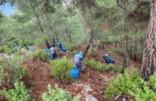 Alanya’da temizlik çağrısı yanıtsız kalmadı