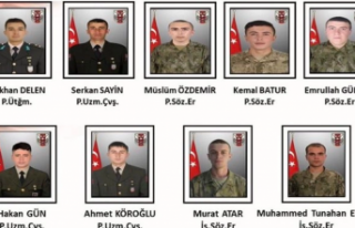 Şehitlerimizin kimlikleri belli oldu