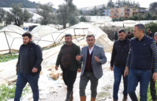 Başkan Tavlı’dan Alanyalı mağdur üreticiye...