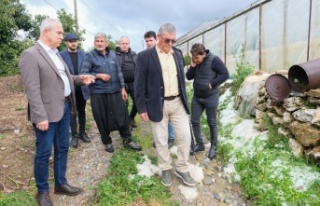 Özçelik “Zarar gören çiftçimize destek vereceğiz”