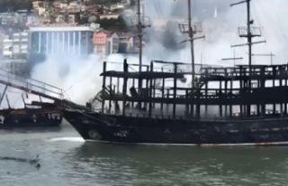 Alanya'da çıkan yangında toplam zarar 50 milyon...