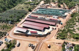 Alanya'da kurban kesim ve satış yerleri belli...