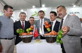 'Harmanı olmayanın dermanı olmaz'