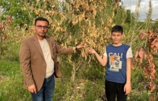 Alanya için acil destek istedi