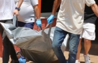 Alanya'da cinayet! Arkadaşını öldürüp evi...