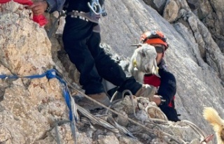 İHH Alanya’dan keçi kurtarma operasyonu