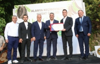 Alanya'da Keçiboynuzu şöleni