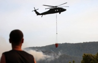 İşte Alanya'daki yangının faturası
