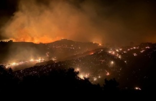 Kaymakam Öztürk'ten yangın açıklaması
