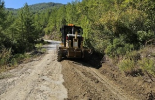 Alanya kırsalında yoğun mesai