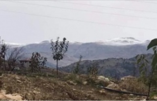 Alanya'ya yılın ilk karı düştü