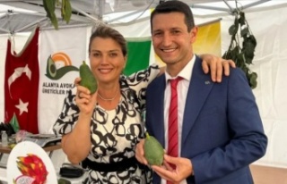 Başkan Sevilgen ithal avokado iddialarını yalanladı