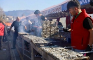 Alanya'da hamsi festivali başlıyor