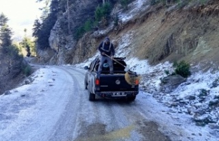Alanya'da buzlanmaya karşı tuzlamalı önlem