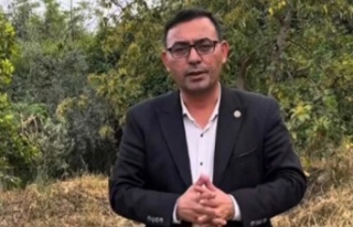 Alanya'nın yeni ürünü! İlk hasadı yapılıyor