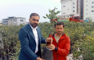 Büyükşehirden keçiboynuzuna destek