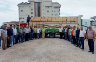 Büyükşehir’den 3 ilçeye 849 arı kovanı hibesi