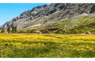 Gökbel’de yıldızlar geçidi!