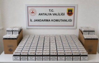 Alanya'da kaçak tütün operasyonu!