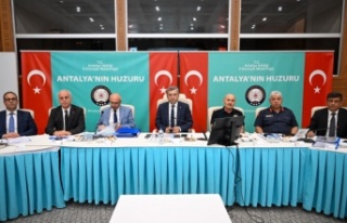 Valilikten sokak hayvanları için önemli hamle!