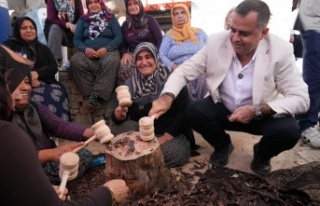Alanya Keçiboynuzu Hasat Şenliği yapıldı