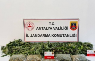 Alanya’da jandarmadan uy*ştur*cu operasyonu!