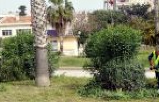 Akdeniz Belediyesi Bahar Temizliğine Başladı 