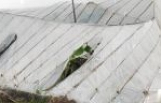 Anamur'u Hortum Vurdu 