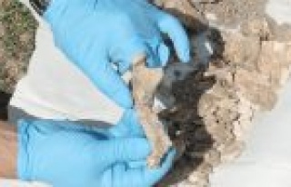 Bakış Açısı İkinci Cesedi De Çıkarttı 