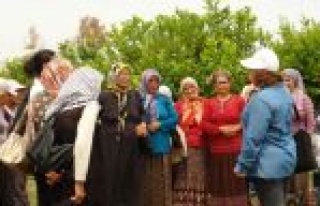 Çiftçi Eğitim Çalışmalarına Devam Ediliyor 