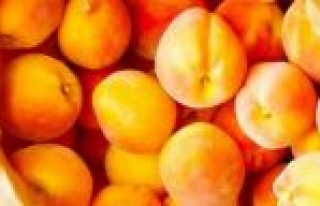 Cilt güzelliği için kayısı nektarı tavsiyesi