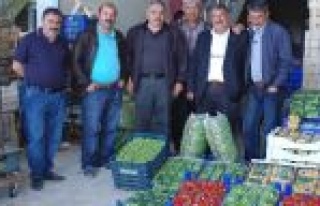 Rusya'ya Çilek Ve Domates İhracatı Başladı 