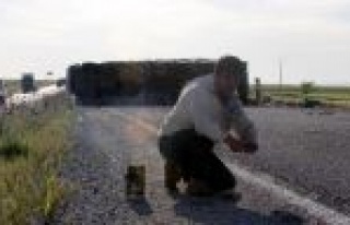 Şoför Mahalline Giren Arı Kamyonu Devirdi 