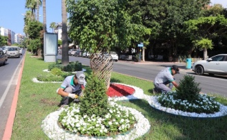 Alanya Belediyesi’nden yeşil alanlara yoğun mesai!