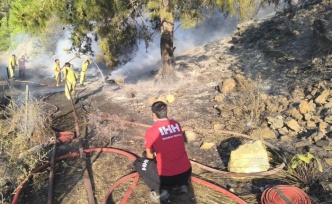 Gazipaşa'da korkutan orman yangını