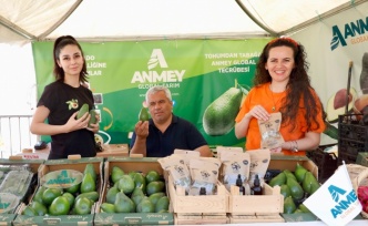 4. Alanya Tropikal Meyve Festivali başlıyor