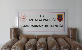 Alanya'da kaçak tütün operasyonu: 72 kilo tütün ele geçirildi!