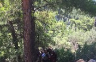 4 gündür aranan 4 kişi kaza kurbanı olmuş!